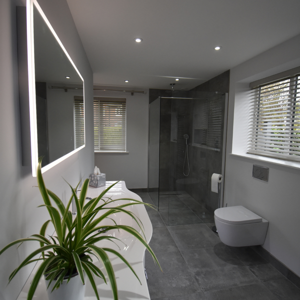 Vega LED mirror and walk-in shower witth wet room floor and Cilantro WC